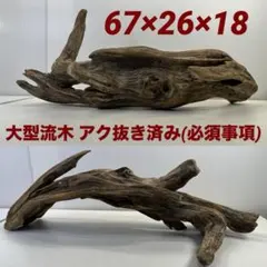HX-151 流木 マシンガンウッド ホーンウッド アクアリウム ブランチ