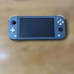 Nintendo Switch Lite 本体 グレー キャリングケース付 - メルカリ