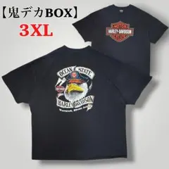 00s Harley-DavidsonイーグルTシャツ 3XL鬼デカ短丈BOX