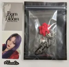 R*7様 HANA Born to Bloom NAOKO トレカ ペンライトチ