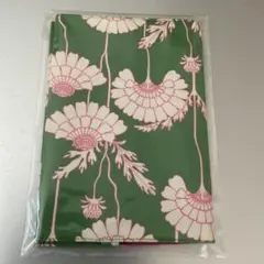 Item thumbnail for item 9f446afd-0cce-41ef-bfd0-de69c5704cbf