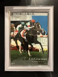 Item thumbnail for item bc246a1d-ee65-4dde-aa70-cb6770acf05a