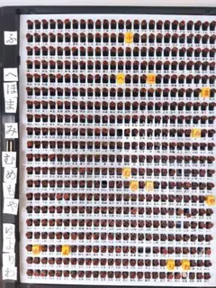 Item thumbnail for item 677d30f6-e364-456b-bd5e-ba7f6225d5f3