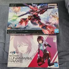 ルナマリア・ホーク　HG ゲルググ・メナース(ルナマリア・ホーク専用機)