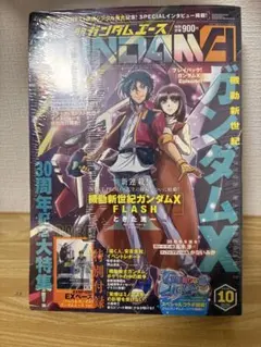 付録カード付 月刊ガンダムエース 2026年10月号 - メルカリ