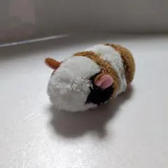 TST Little Beans モルモット ぬいぐるみ 【訳あり】