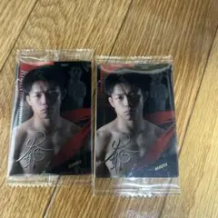 RIZINウエハース　ヒロヤ選手2枚