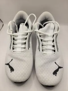 Item thumbnail for item 4876dd5f-3054-4148-9255-ddee0027f0ac