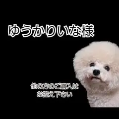 【ゆうかりいな様専用】