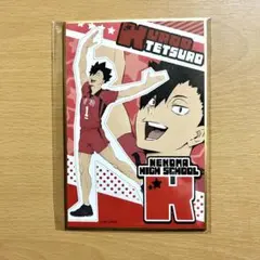 くじラック　ハイキュー!!  Y賞ミニ色紙　黒尾鉄朗