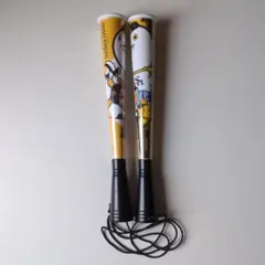 SoftBank HAWKS メガホン タカポイントプレゼントキャンペーン&メガホン特集 | 福岡