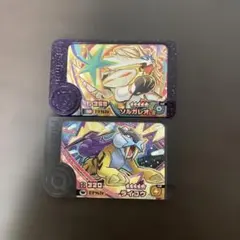 ポケモンフレンダ スーパートレジャー ソルガレオ　ライコウ2枚セット