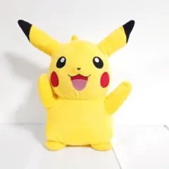 m33672937673_1.jpg?1769448894