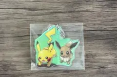 ポケパークカントー イーブイ ピカチュウ キーホルダーセット - メルカリ
