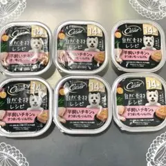 Cesar シーザー　シニア犬フード 6個セット