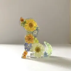 固まるハーバリウム♡ミニうさぎ - メルカリ