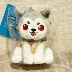 2026年最新】コロマル ぬいぐるみの人気アイテム - メルカリ