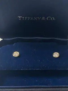 2026年最新】TIFFANY 付属品：鑑定書 レディース ピアス(両耳用)の人気 
