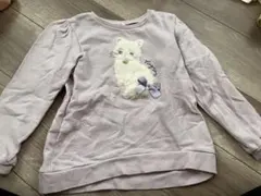 any FAM トレーナー 120