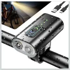 Item thumbnail for item b3808f34-c365-4898-bf3f-38e491d317f1