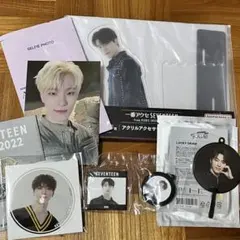 SEVENTEEN DINO グッズ　セット