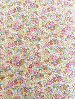 Item thumbnail for item 7337cc0e-f1d6-40a4-8c7b-326fabfa38e4