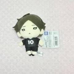 ハイキュー!! にとたん ぬいぐるみ 角名倫太郎