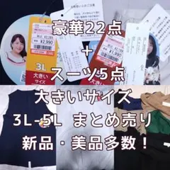 【豪華27点】大きいサイズ 3L-5L まとめ売り 美品多数 箱いっぱい