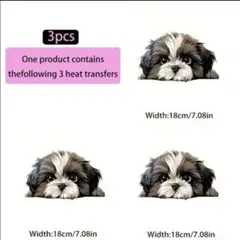 Item thumbnail for item d04aec44-f044-4096-8821-c1123ad439a9