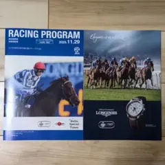 競馬 JRA ジャパンカップ　土曜日版レーシングプログラム2冊　レープロ