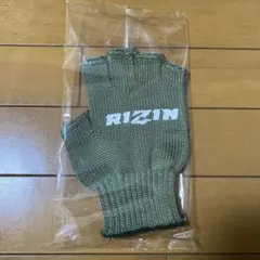 Item thumbnail for item f4a718ff-1b01-43e6-bd0e-0b3eed2189df