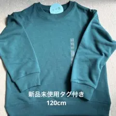 Item thumbnail for item e4f1af0a-ff84-44c8-abab-21439f73d56b