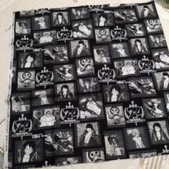 ワンピースフィルム Z プリント生地 約55x110cm