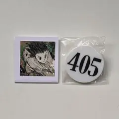 冨樫義博展　HUNTER×HUNTER ナンバープレート　ゴン　405のサムネイル