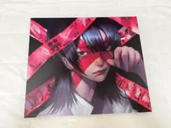 KANAMI SAI Ⅱ (おまけpulsar アームカバー)