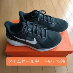 セール中！【サイズ27.0】NIKE ペガサス41 ワイド