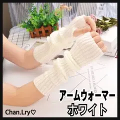 ロング アームウォーマー アームカバー ニット 日除け 手袋 ホワイト 韓国a