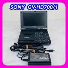 2025年最新】Gv-hd700の人気アイテム - メルカリ
