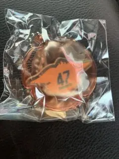 Item thumbnail for item 2b104aeb-ee3f-4e53-bf36-a65908ce5d1d