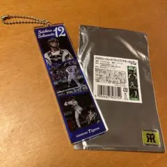 阪神タイガース　2025シークレットプレイバックキーホルダー　12坂本誠志郎