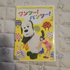NHK DVD いないいないばあっ!ワンツー!パンツー!