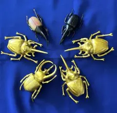 昆虫フィギュア　6個セット　カブトムシ