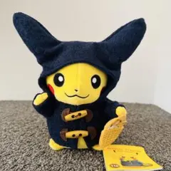 【タグ付・美品】マンスリーピカチュウ2015 11月