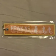 ストレンジャーシングス フライトタグ