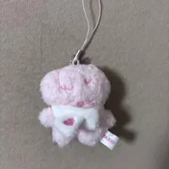 Stray Kids FANMEETING スキズ ペンミ本国 グッズ　ポガリ