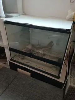 ぬ*し様 爬虫類飼育ケージ ガラス、新品 300x450x300H - メルカリ