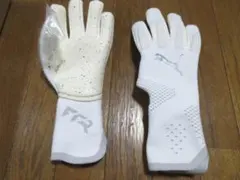 廃盤モデル】プーマGKグローブ フューチャーアルティメットNC 8号 