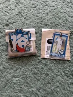 2025年最新】郡司裕也アクスタの人気アイテム - メルカリ