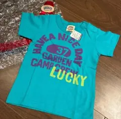 Item thumbnail for item d312b549-9880-4981-b47a-d64f7d1eb06c