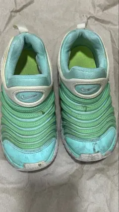 NIKE ダイナモフリー